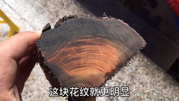 怒江沙滩挖到的清香木，表面奇丑无比，但切开后却让人意外