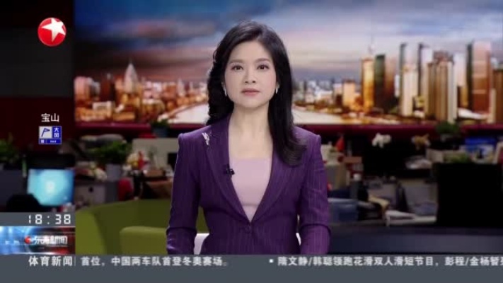 上海：强供应促需求释放 新房开年势头旺