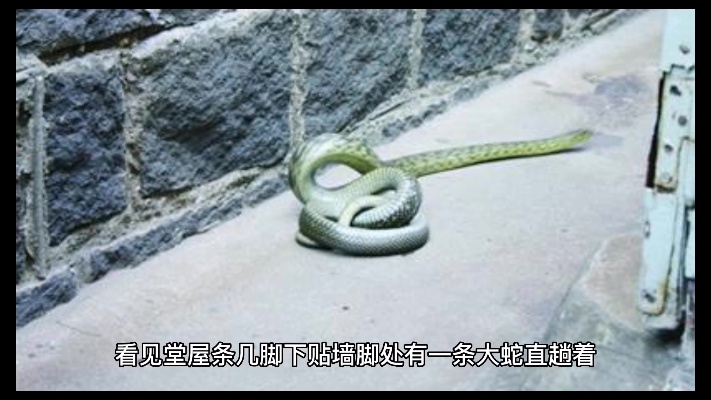 我的回答：家里出现蛇能打死吗？