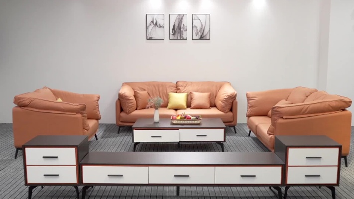 给大家推荐一款今年流行的意式极简沙发茶几电视柜.#极简家具