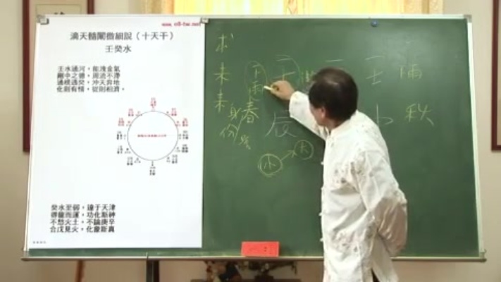 八字阴阳学，张子健老师讲述滴天髓十天干之-壬水