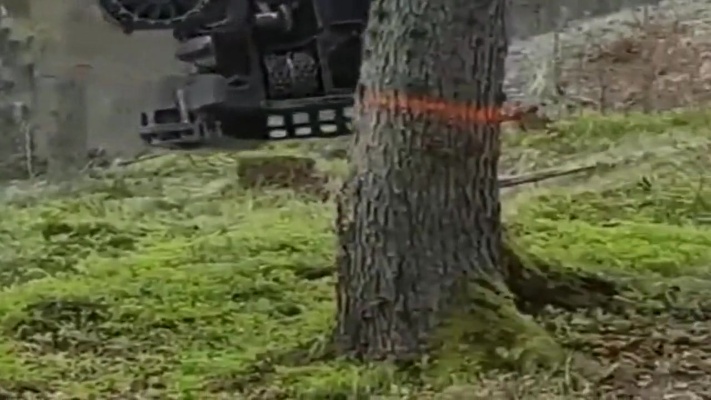 弄死一棵大树，就是20秒的事情，这机器真可怕！