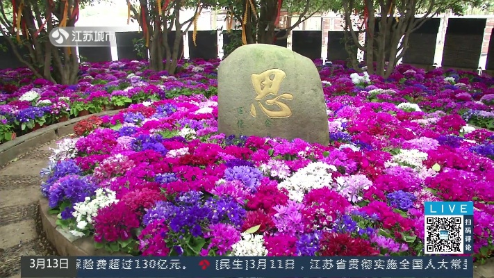 南京：南京落葬服务需提前预约 人数、时间有规定|零距离0313