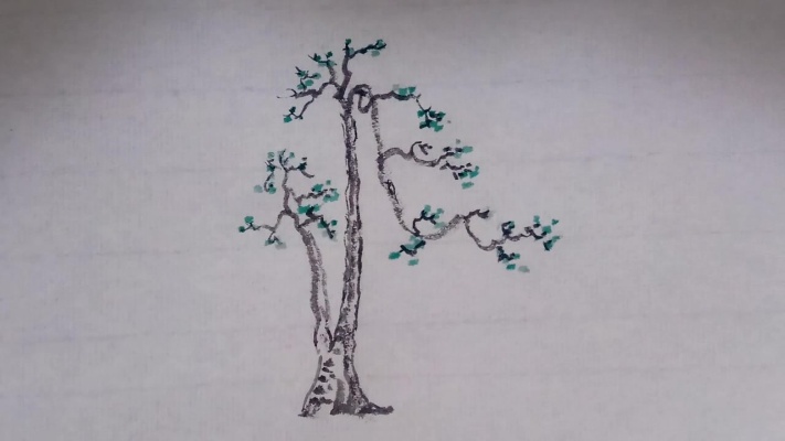 榆树双树式盆景设计，飘枝高位出枝，潇洒飘逸