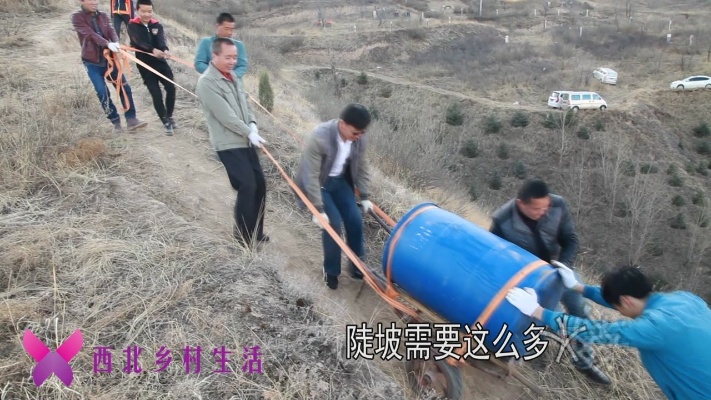清明节去坟地栽松树，看我们是怎么把四百斤的水从山底运到山顶的