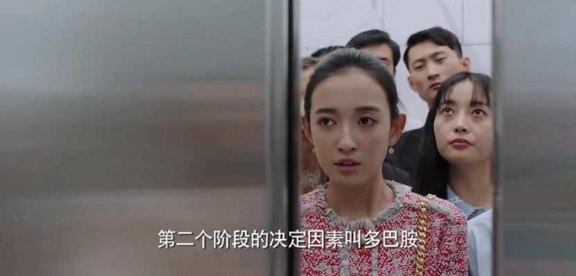 爱情守则:第二因素多巴胺