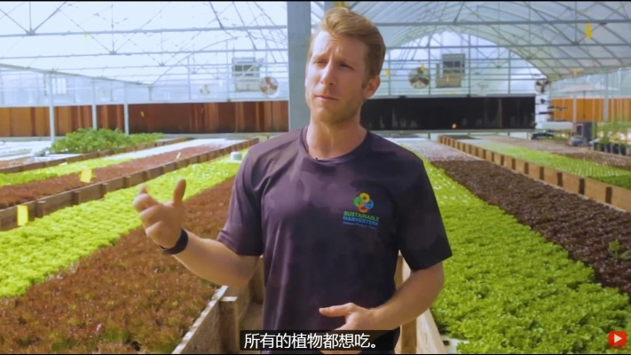 泡沫板水培蔬菜大棚如何建造？一亩地的水培蔬菜大棚造价多少元