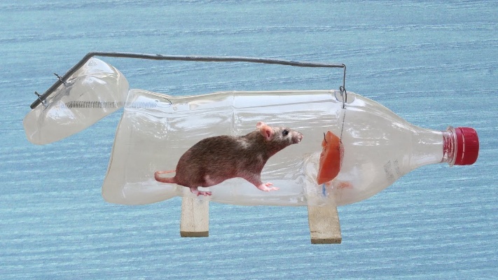 5个简单的老鼠陷进制作教学，再也不用担心家里会有老鼠了