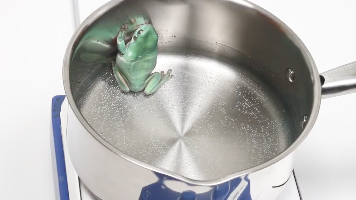 好奇老外做温水煮青蛙实验：青蛙是跳出来，还是被煮熟？