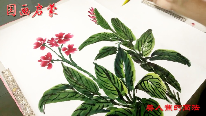 红花美人蕉，分外妖娆：绿叶来相衬，枝繁叶茂 四种颜料画出来