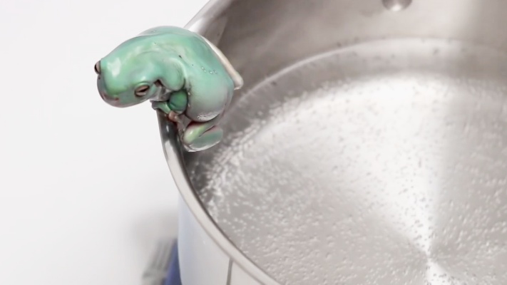 “温水煮青蛙”的实验是真的吗?网友进行求证,眼见为实!