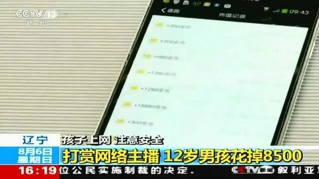 辽宁 孩子上网 注意安全 打赏网络主播 12岁男孩花掉8500