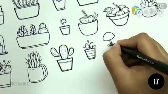 30种植物的画法！和孩子一起画感觉更美！