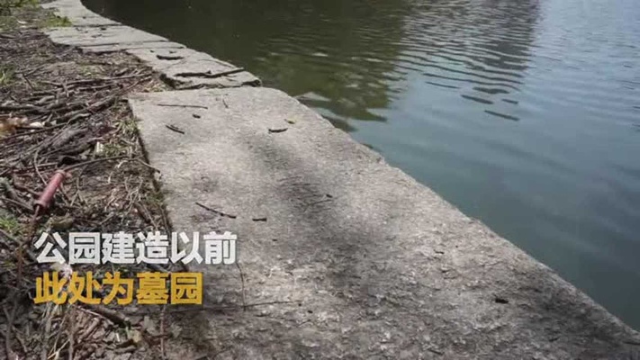 上海一公园湖堤石头“阴气太重”引来游园市民质疑！