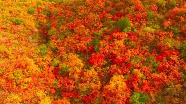 2017版《那一山的红呦，那一沟的秋》
