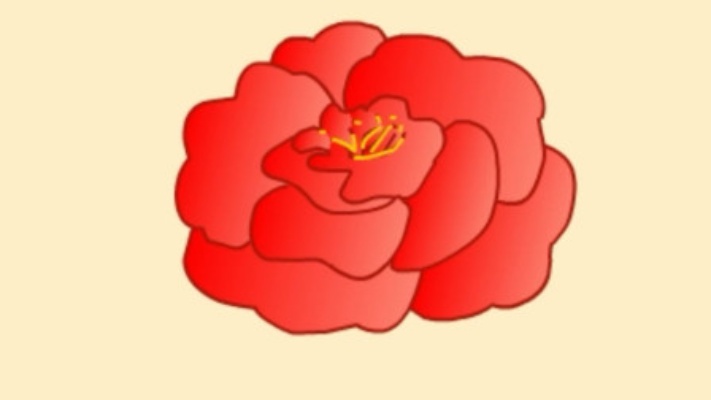 它是世界名贵花卉之一，中国名花第八名，你知道它的名字吗？