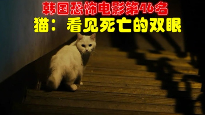 解说韩国恐怖电影排行榜46名猫看见死亡的双眼，养猫后的恐怖遭遇