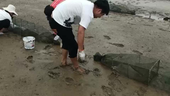 抓螃蟹了！