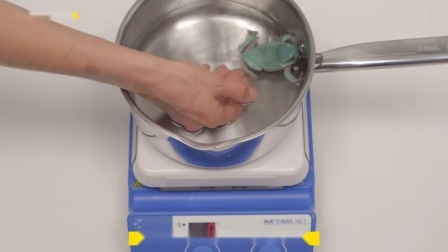 真实温水煮青蛙实验,竟然出现了2种结果