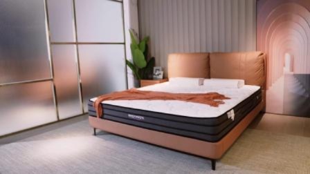 床垫十大名牌排行榜:床垫哪个牌子的质量比较好?