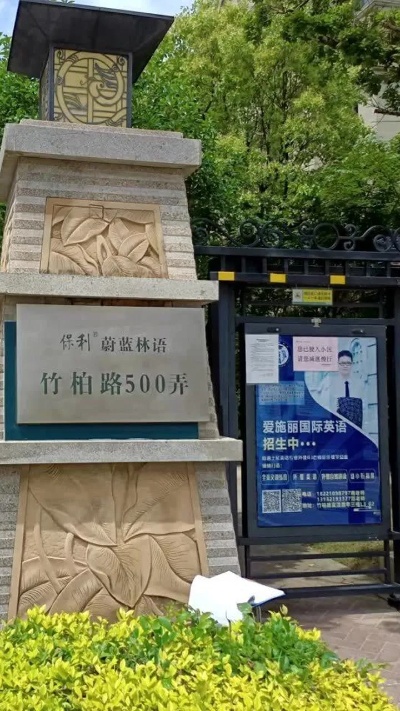 上海保利蔚蓝林语，一樘黑灰色诺沃芬入户门安装完成
