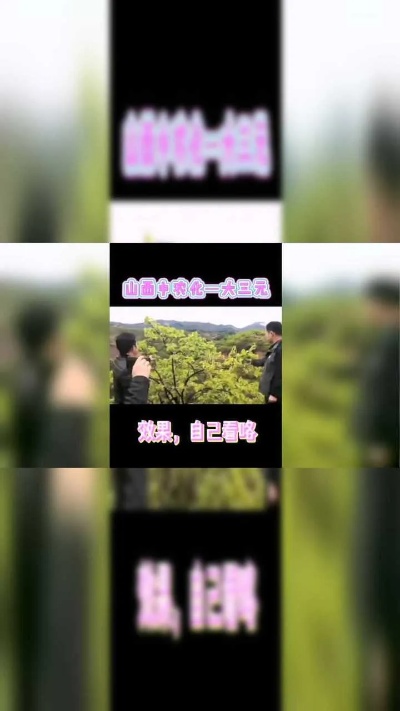 山西中农化大三元—柿子树用肥效果展示