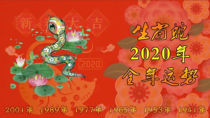 2020年生肖蛇运势 12生肖全年运势