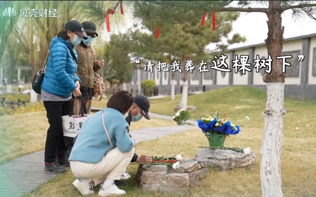 树葬、海葬是什么？清明时节实探北京生态葬墓地_腾讯视频