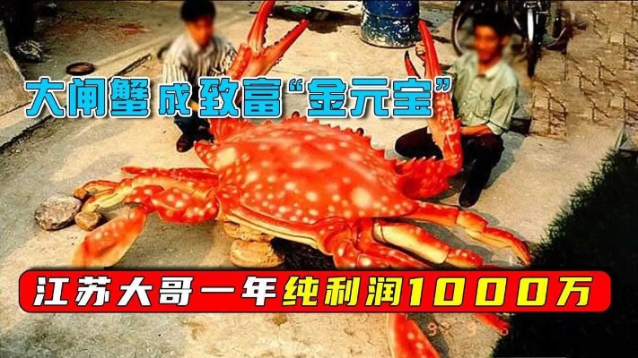 大闸蟹成致富“金元宝”江苏大哥一年纯利润1000万，每天客人源源不断