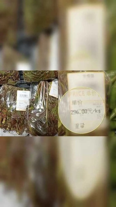 你舍得吃吗？超市香椿苗卖148元一斤，摊贩：不好卖，没进货