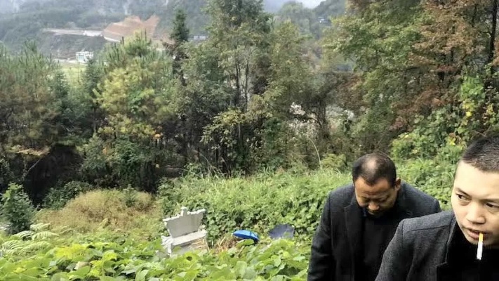 张少波到贵州，为徒弟家做的一次坟墓风水点评，弟子风水网教学