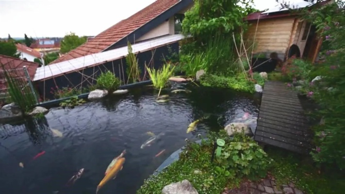 这样的庭院鱼池，估计大伙看了都会喜欢，太让人着迷了！
