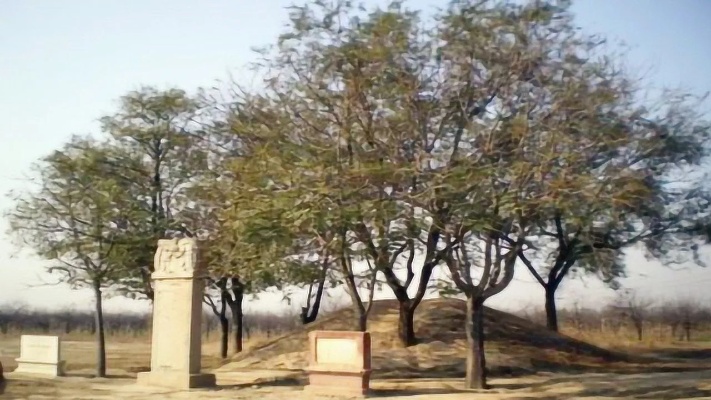 在坟墓旁种植树木有着悠久的历史，那皇帝陵墓旁种什么树呢？