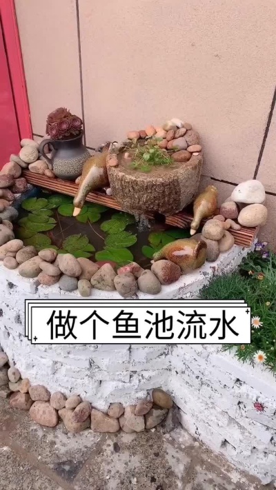用淘来的旧石槽子简单做个睡莲池流水#庭院设计#vlog日常